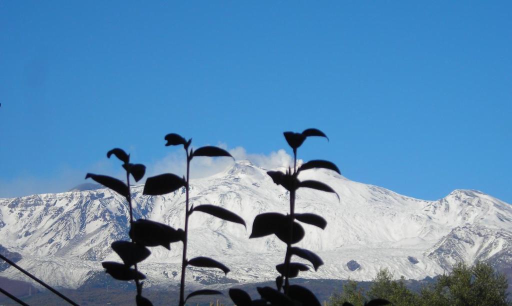 B&B Casansaldo Giarre Dış mekan fotoğraf